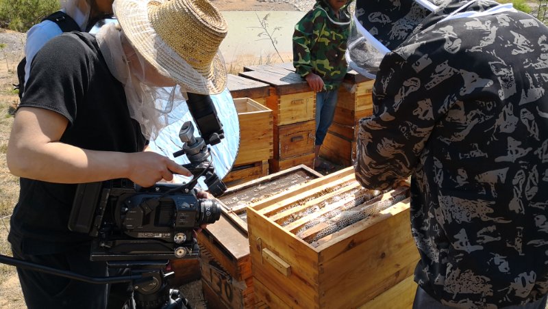 視頻廣告片制作要求及發(fā)布方法和不同企業(yè)廣告片的特色